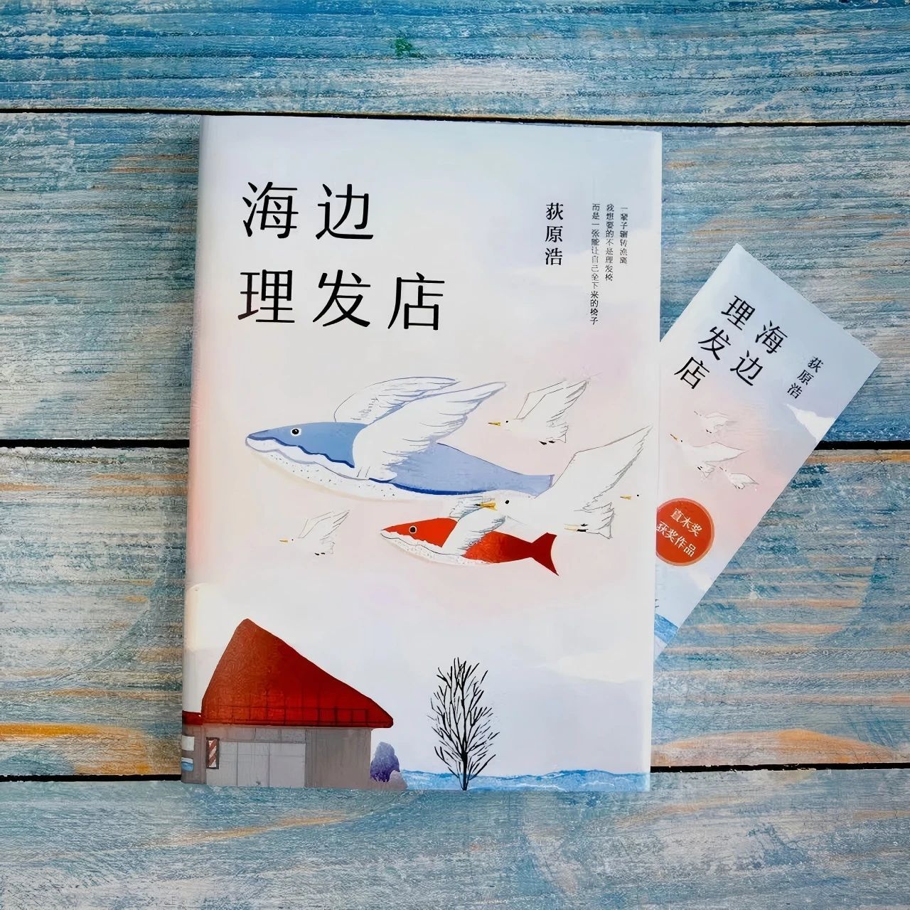 微信图片_20250519091027